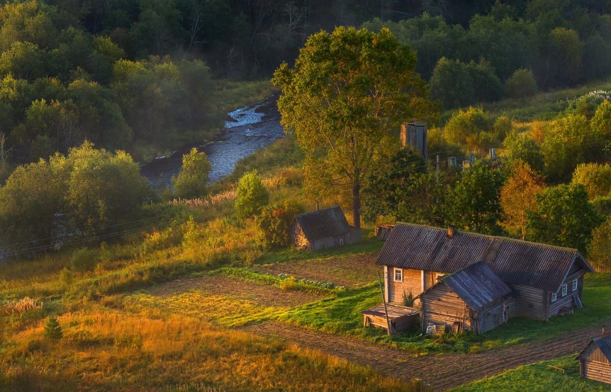 Деревенский домик в лесу