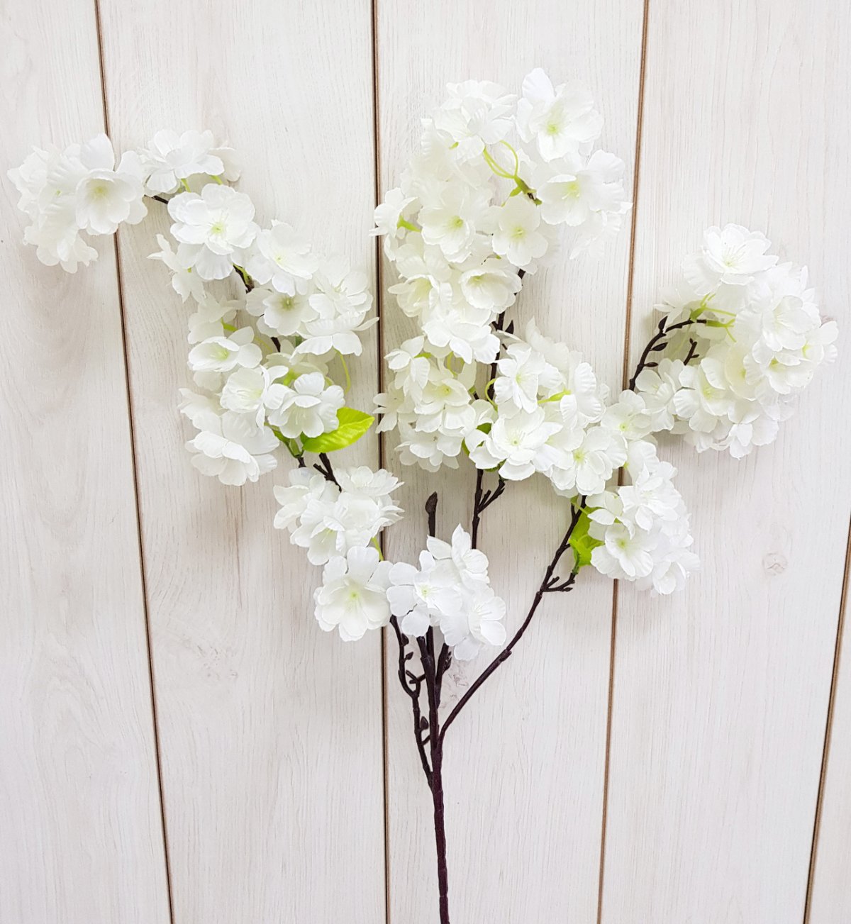 Фитодизайн рококо