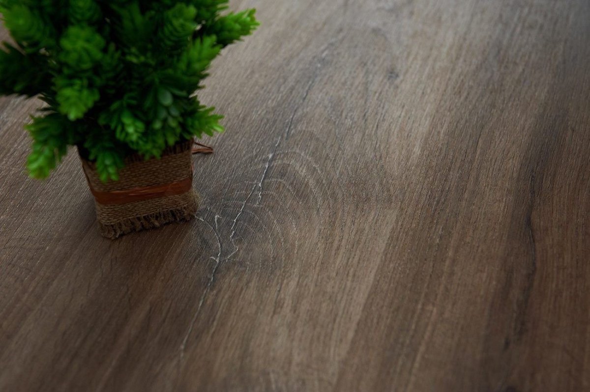 FF-1479 дуб ла-пас