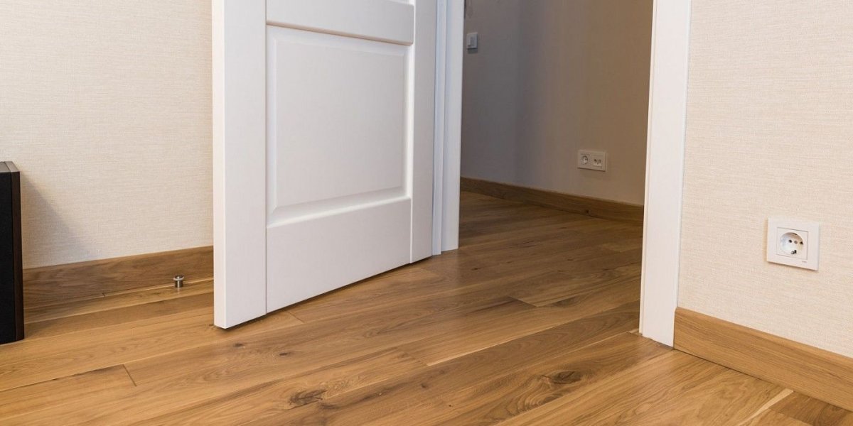 Плинтус и наличник двери