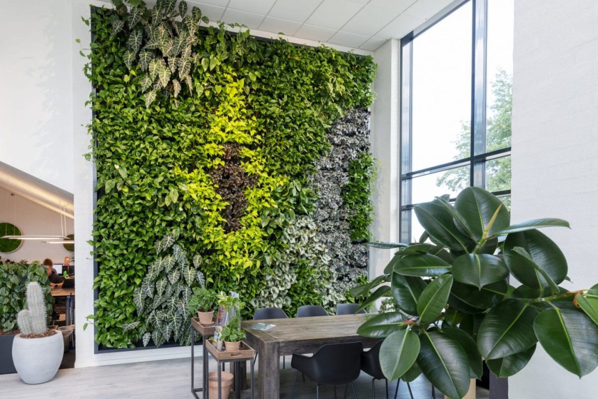 Живые зеленые стены natural Greenwalls