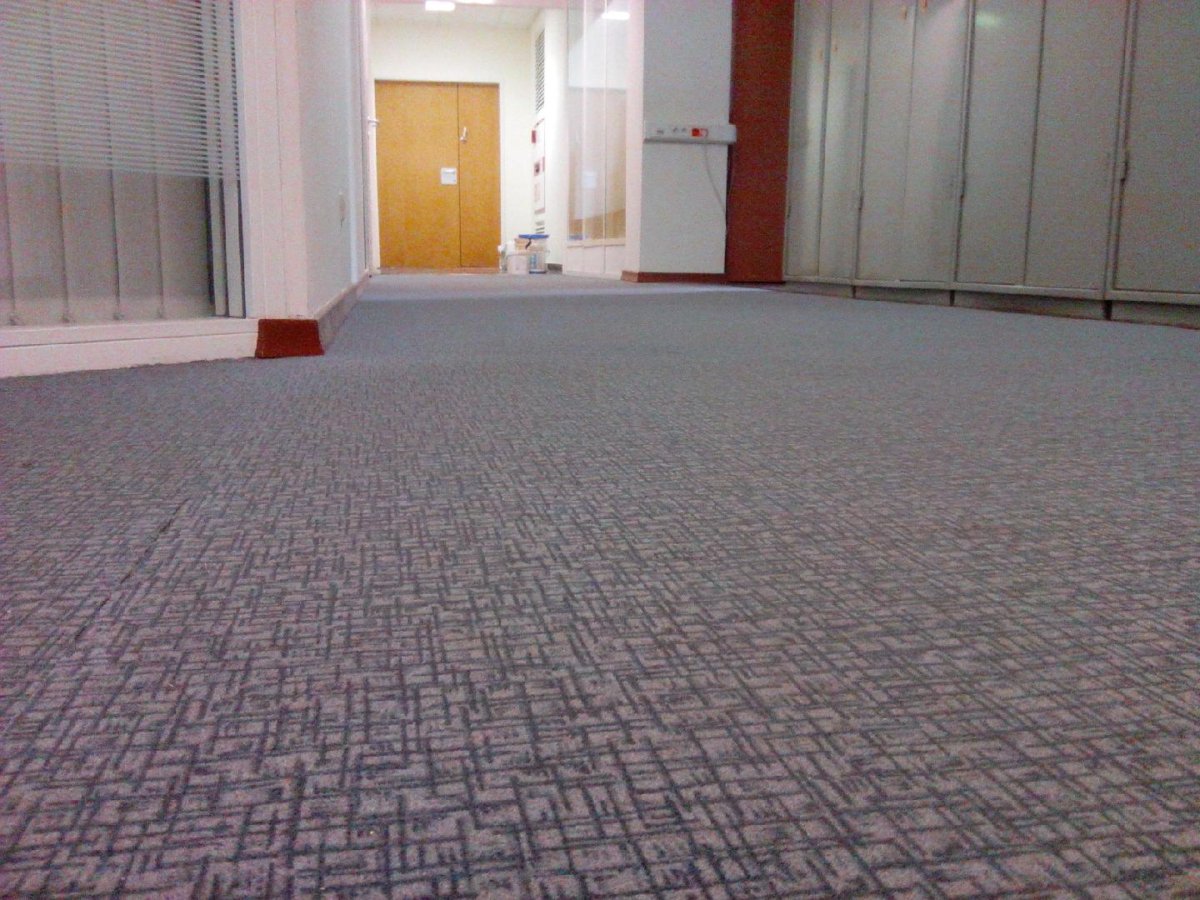 Однотонный синий ковер