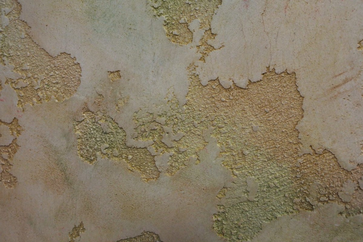 Декоративная штукатурка Decorazza карта мира