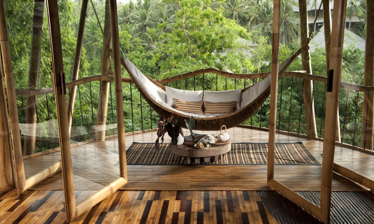 Элора Харди