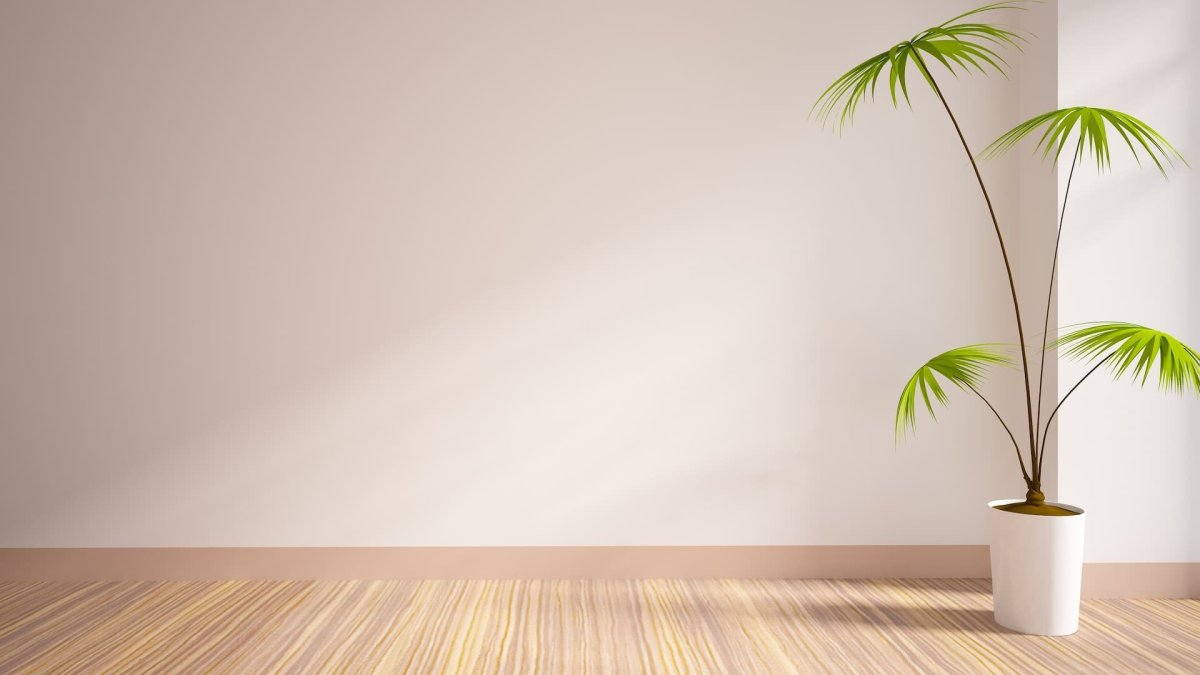 Комната с темными стенами