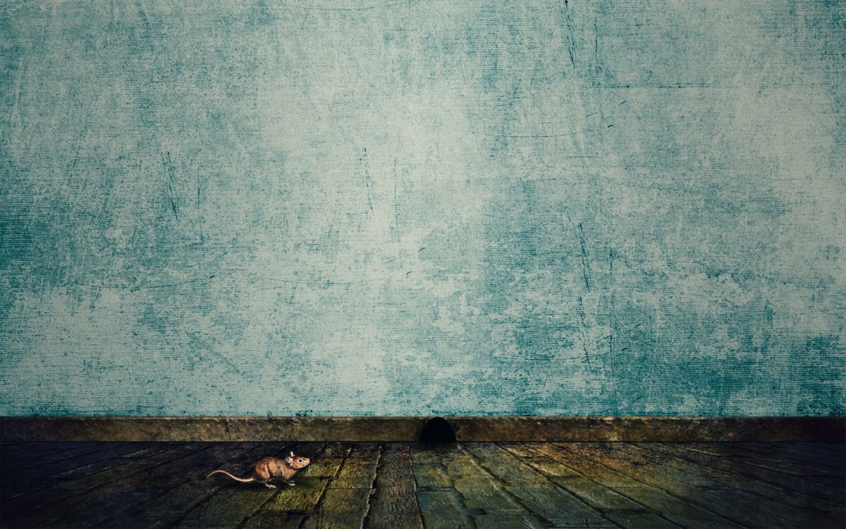 Стена и пол