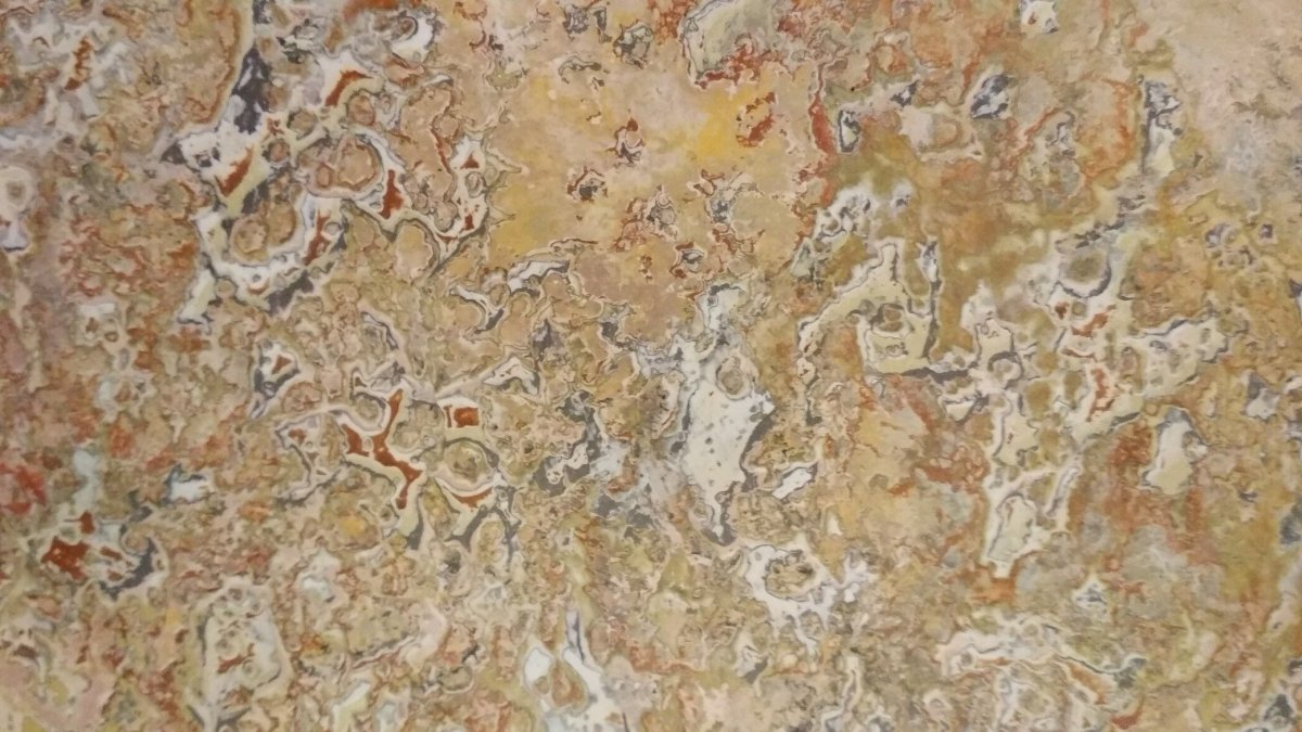 Скальола + венецианка