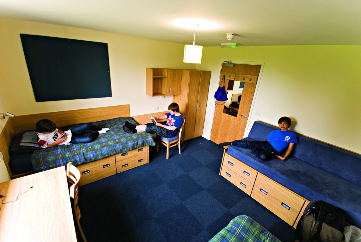 Зеленый шум лагерь