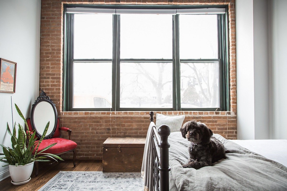 Клауд лофт Касимов