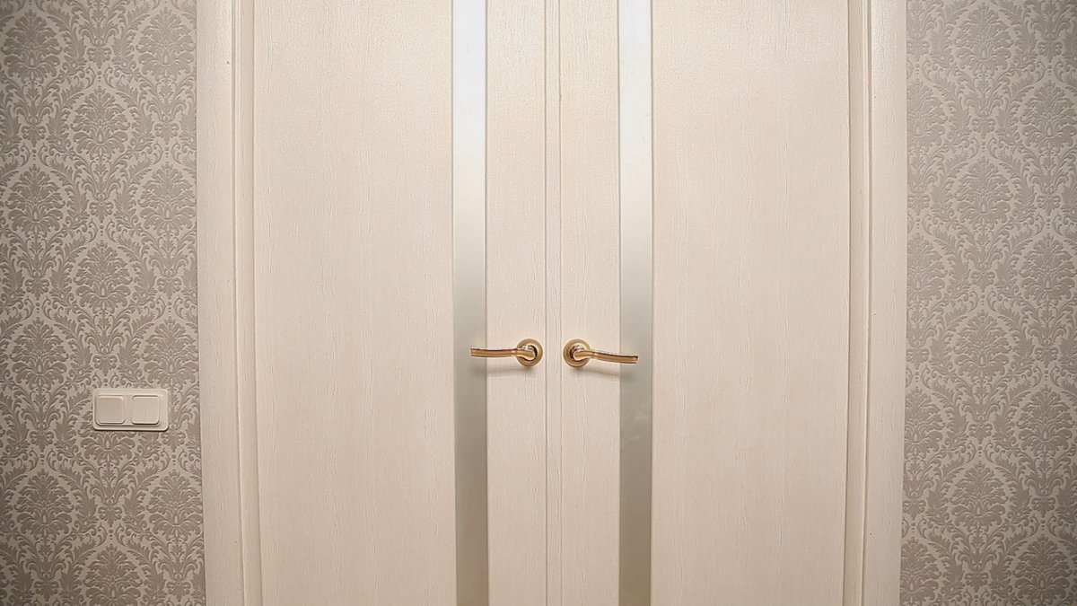 Белые двери в интерьере