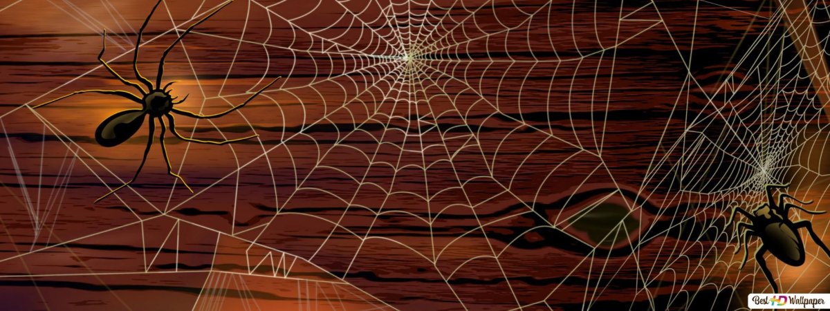 Домик паучка