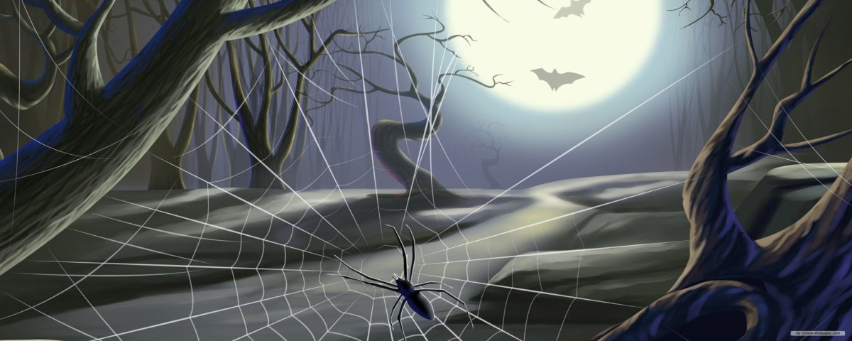 Паутина на черном фоне