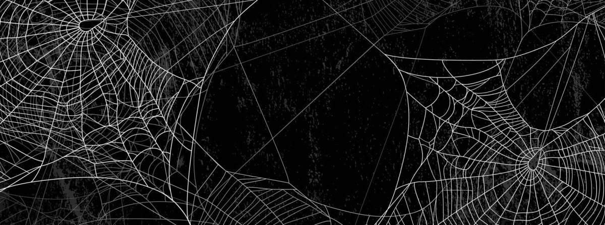 Фон паутина на сером фоне