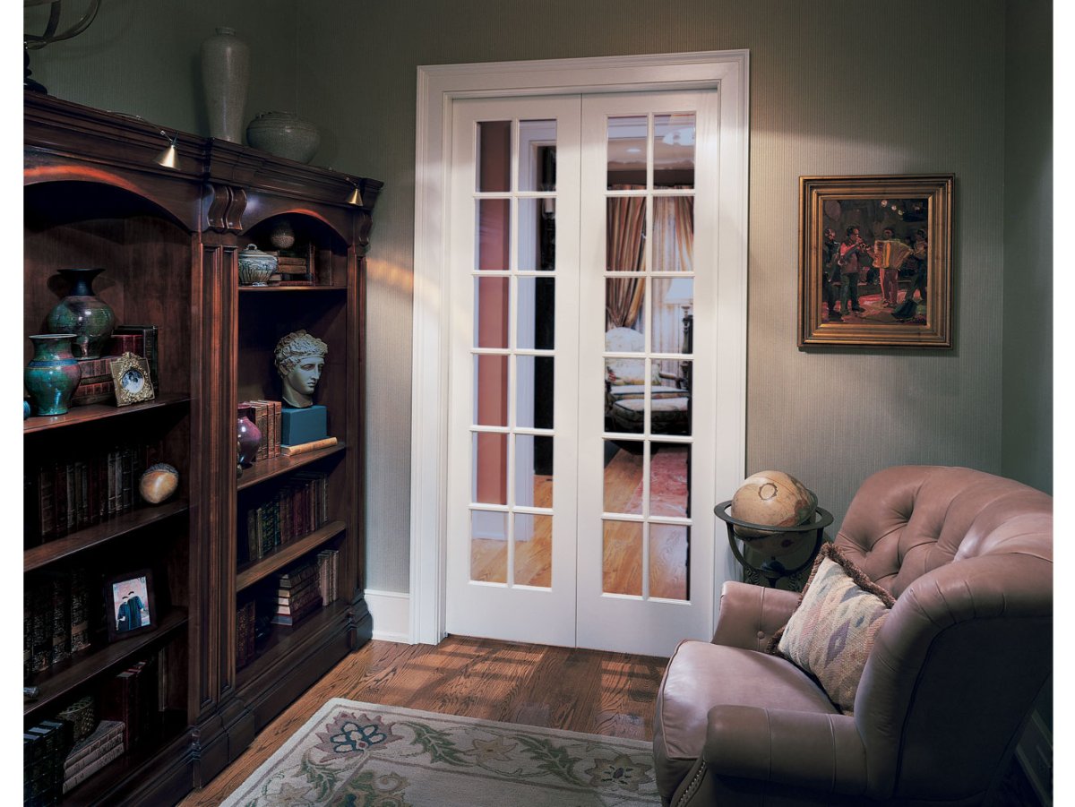 Двери Синерджи в интерьере