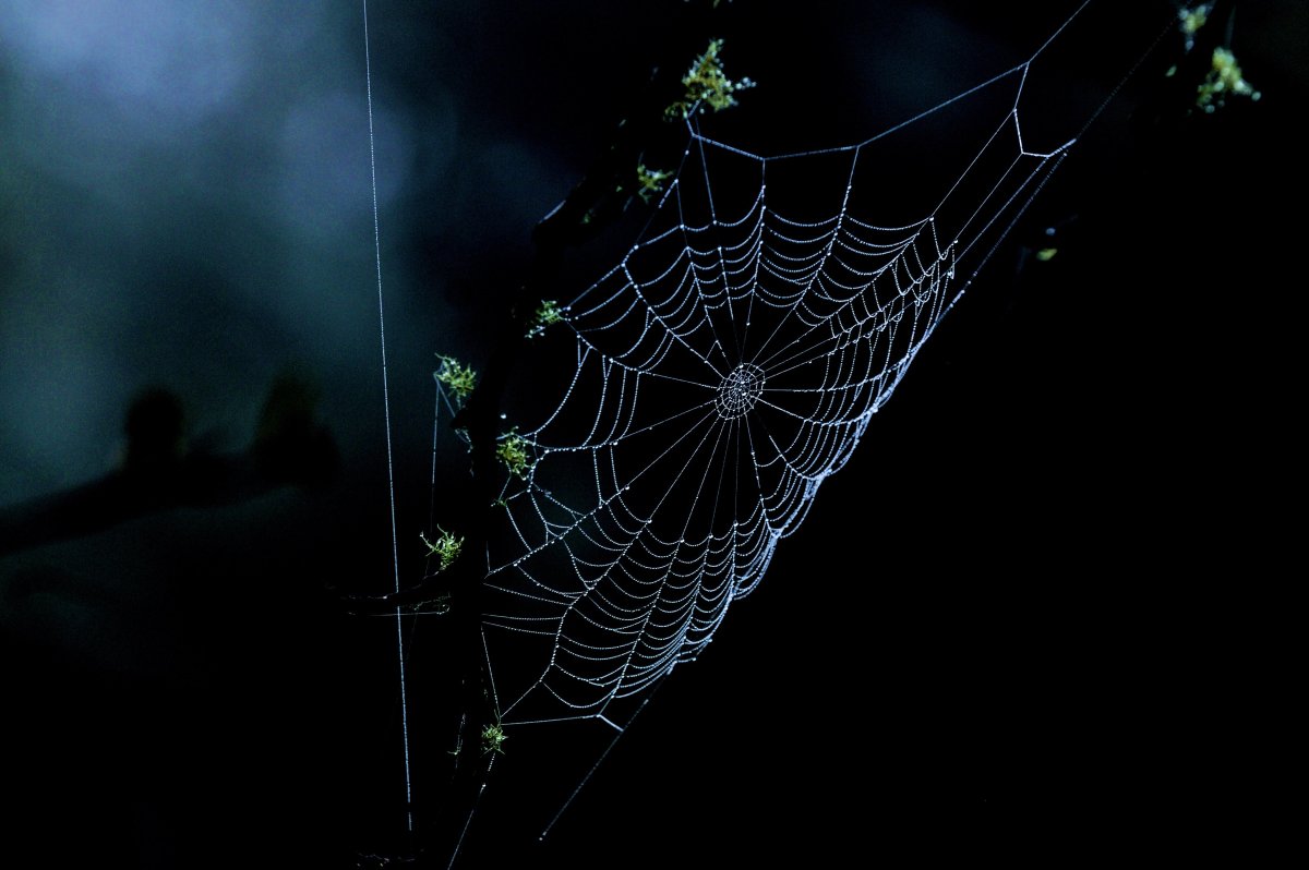 Плетение паутины