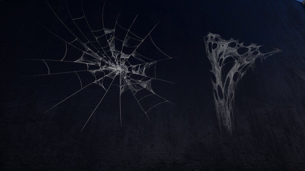 Паук / zirneklis