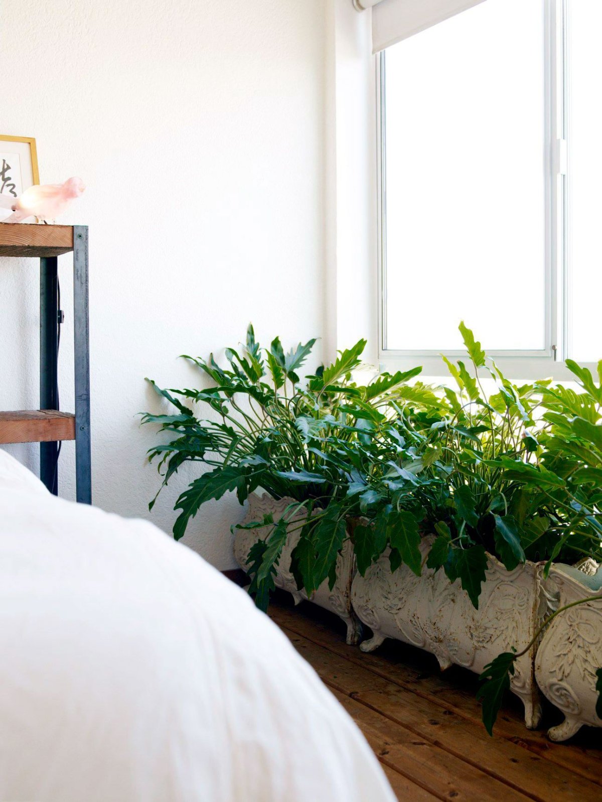 Цветы в интерьере