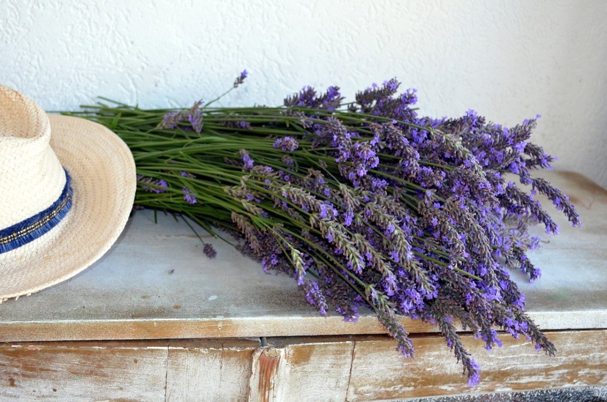 Лавандовый дом в Англии