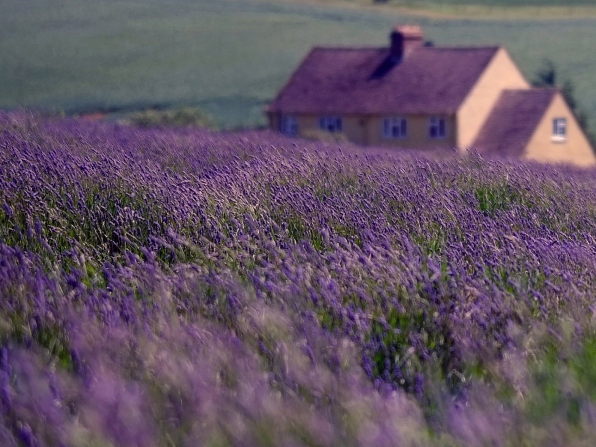 Прованские домики