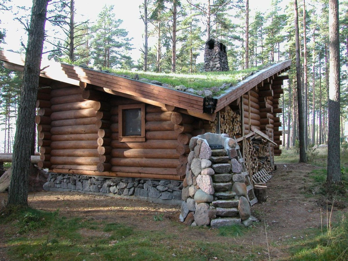 Домик в лесу из бревен