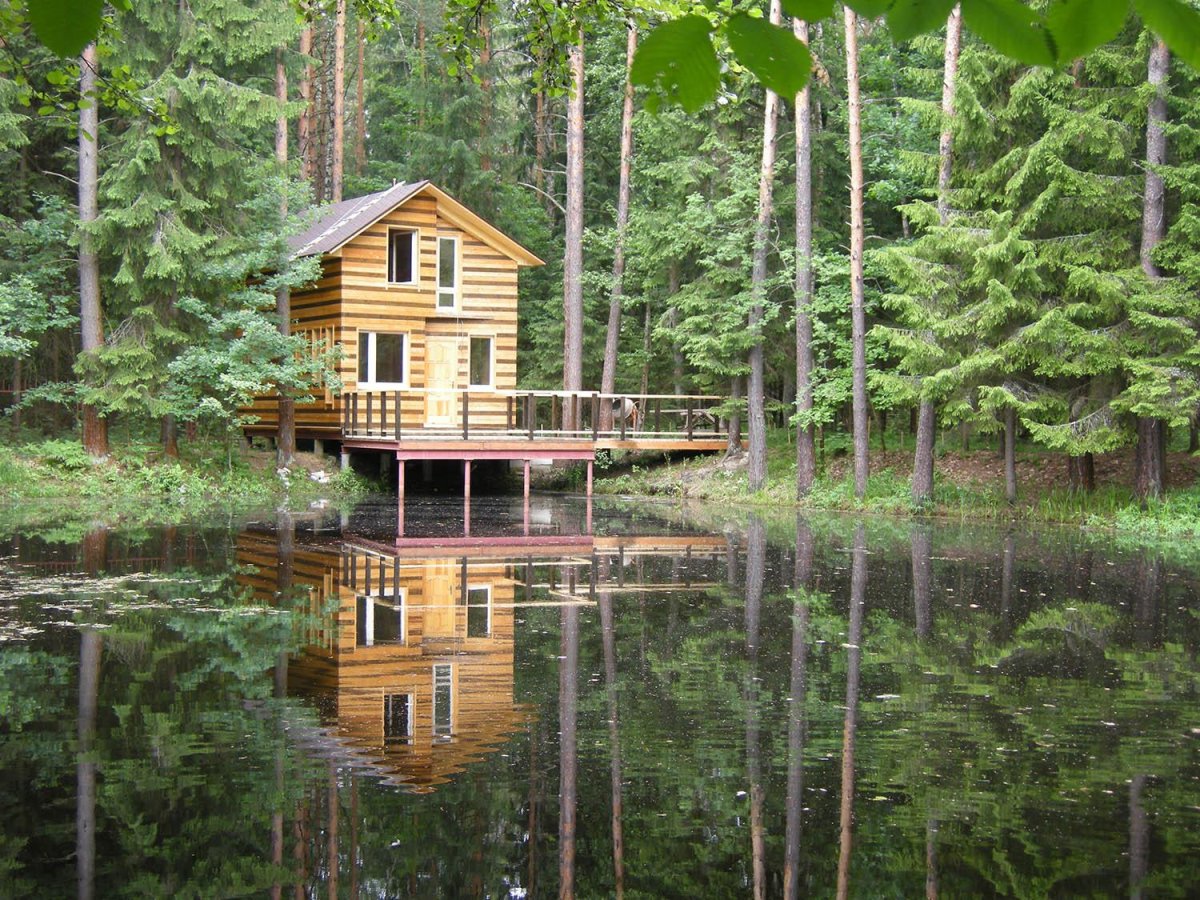 Турбаза Шерна Ногинский район