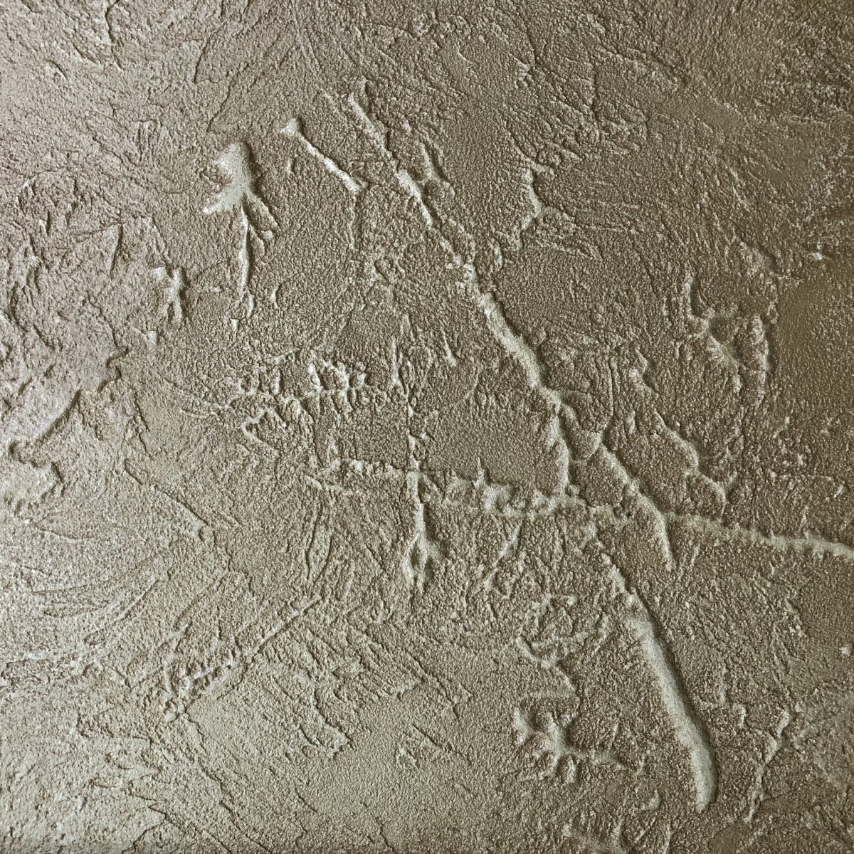 Леонардо венецианка