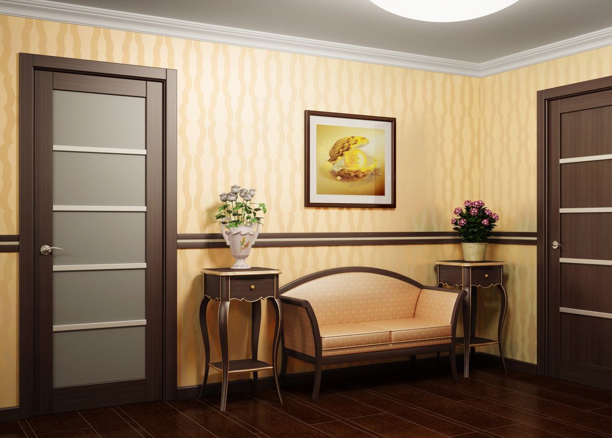 Комната с темными дверями венге