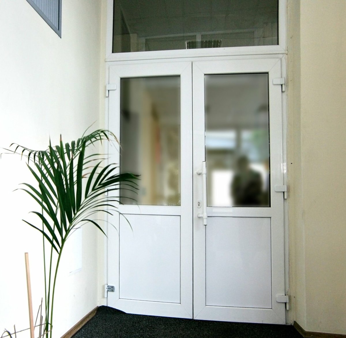 Двери ПВХ входные штульповые