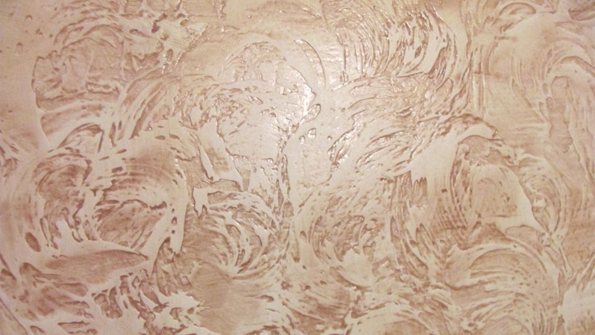 Короед венецианка