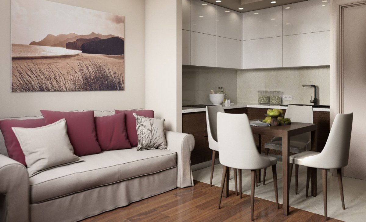 Пик кухня-гостиная 20кв