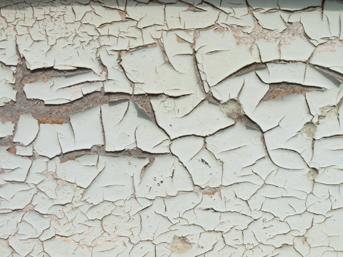 Может ли лопаться штукатурка свежая