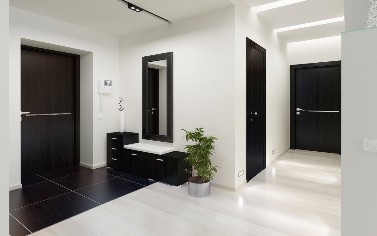 Темные двери в интерьере