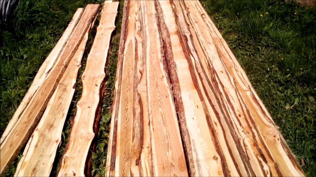 Кело сосна древесина