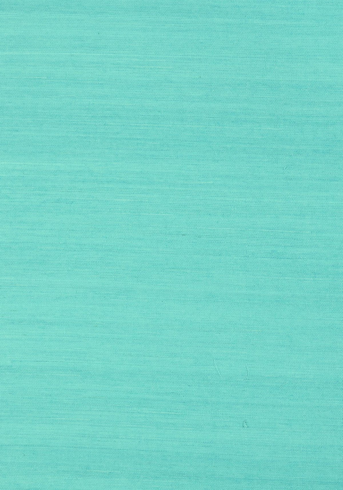 Бирюзовый цвет однотонный