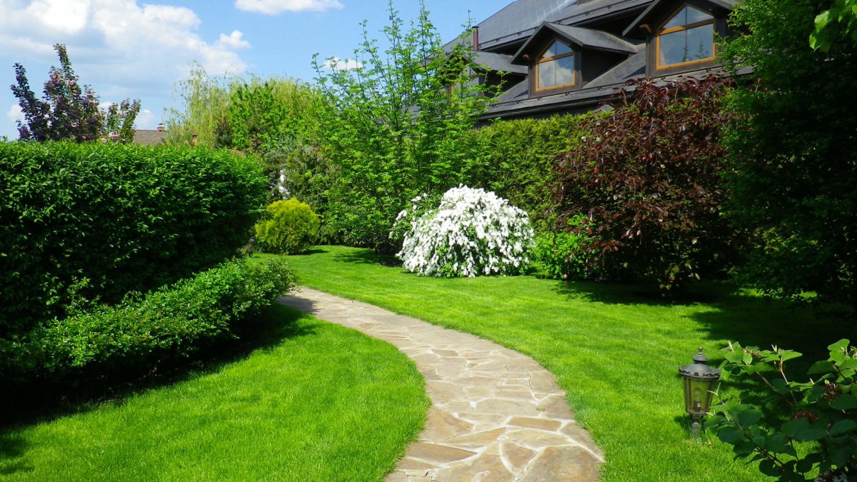 Ландшафт дачного участка