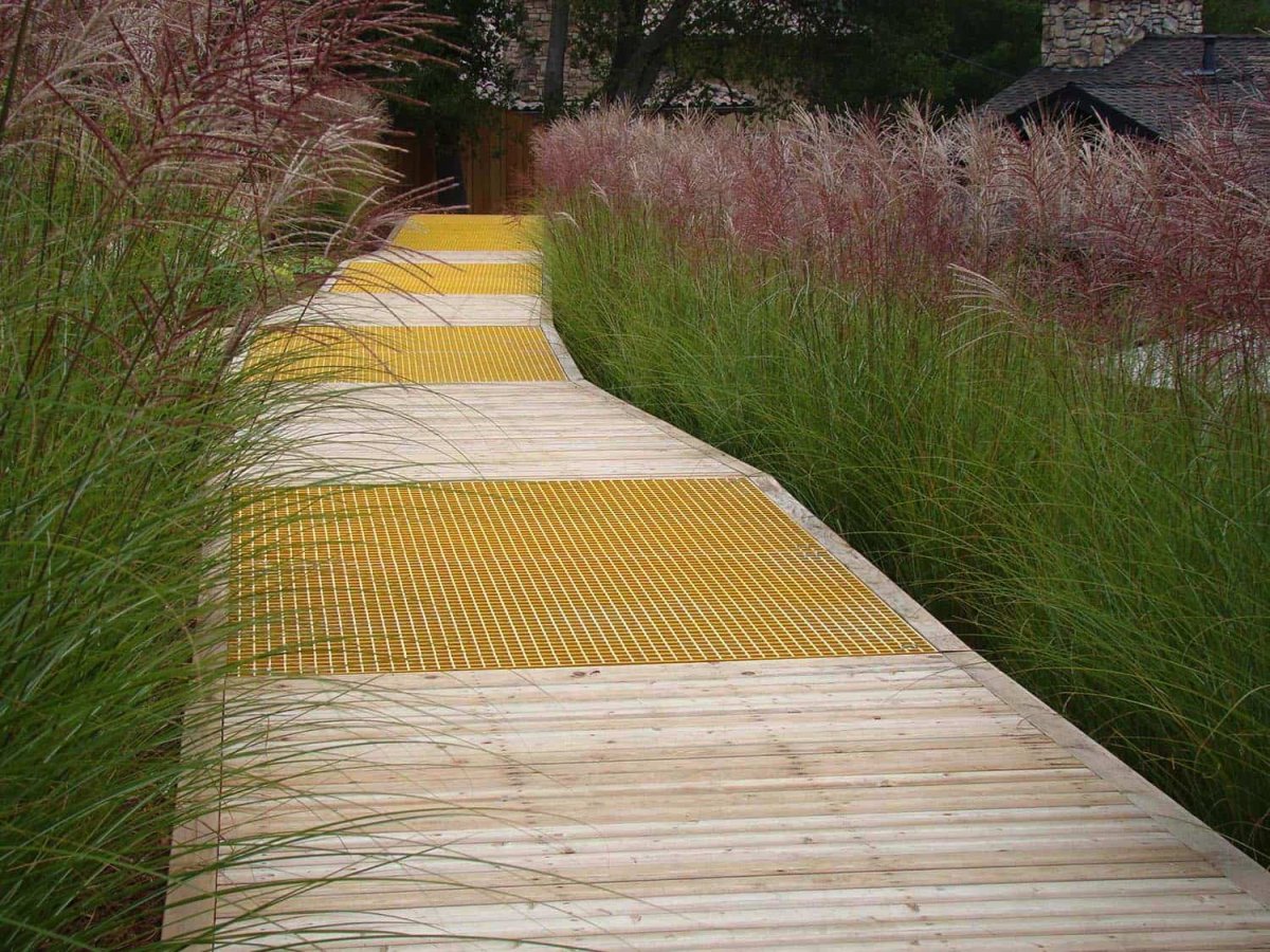 Злаки вдоль дорожки