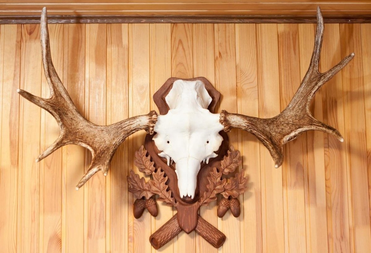 Рога в интерьере квартиры