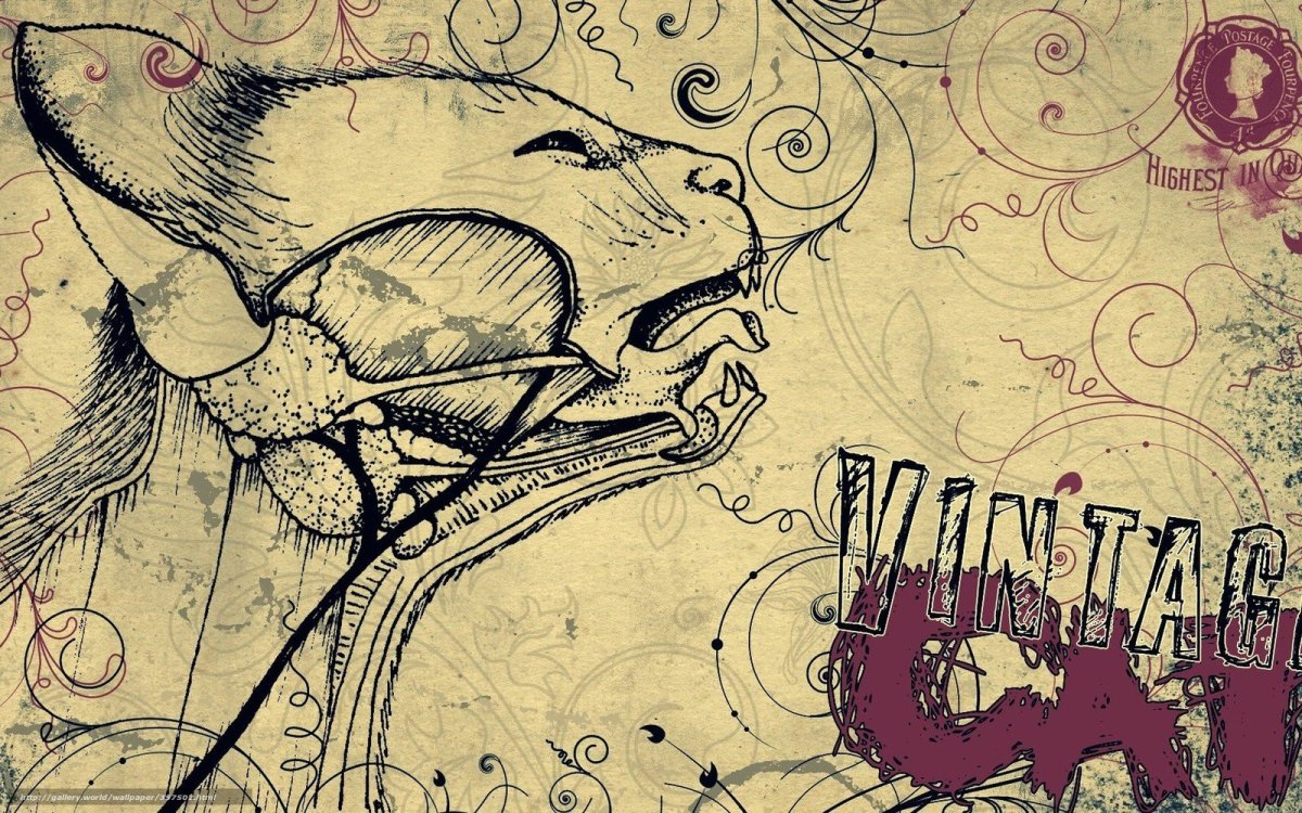 Обои на рабочий стол рисунки