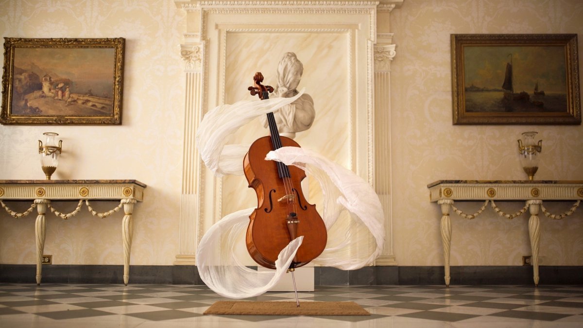 Виолончель музыкальный инструмент