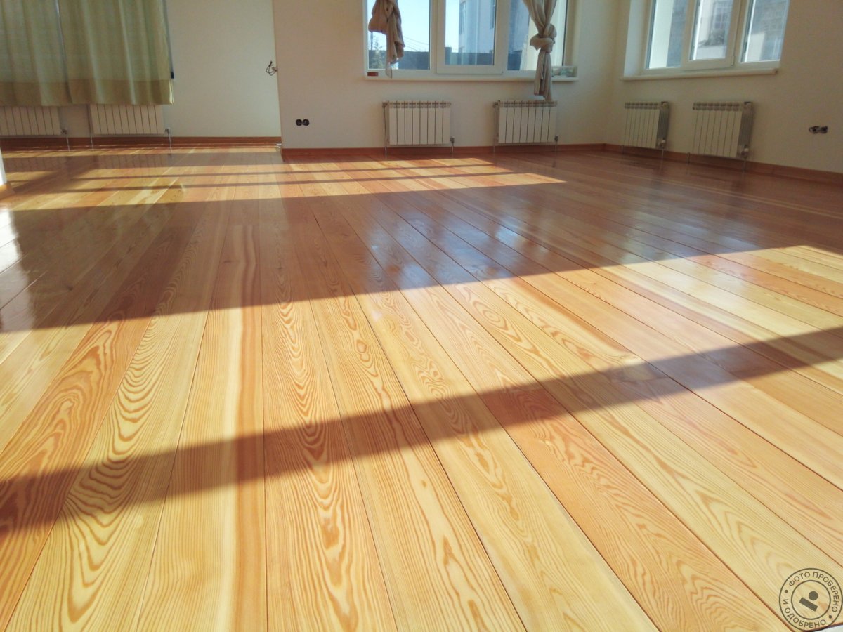 Европол лиственница