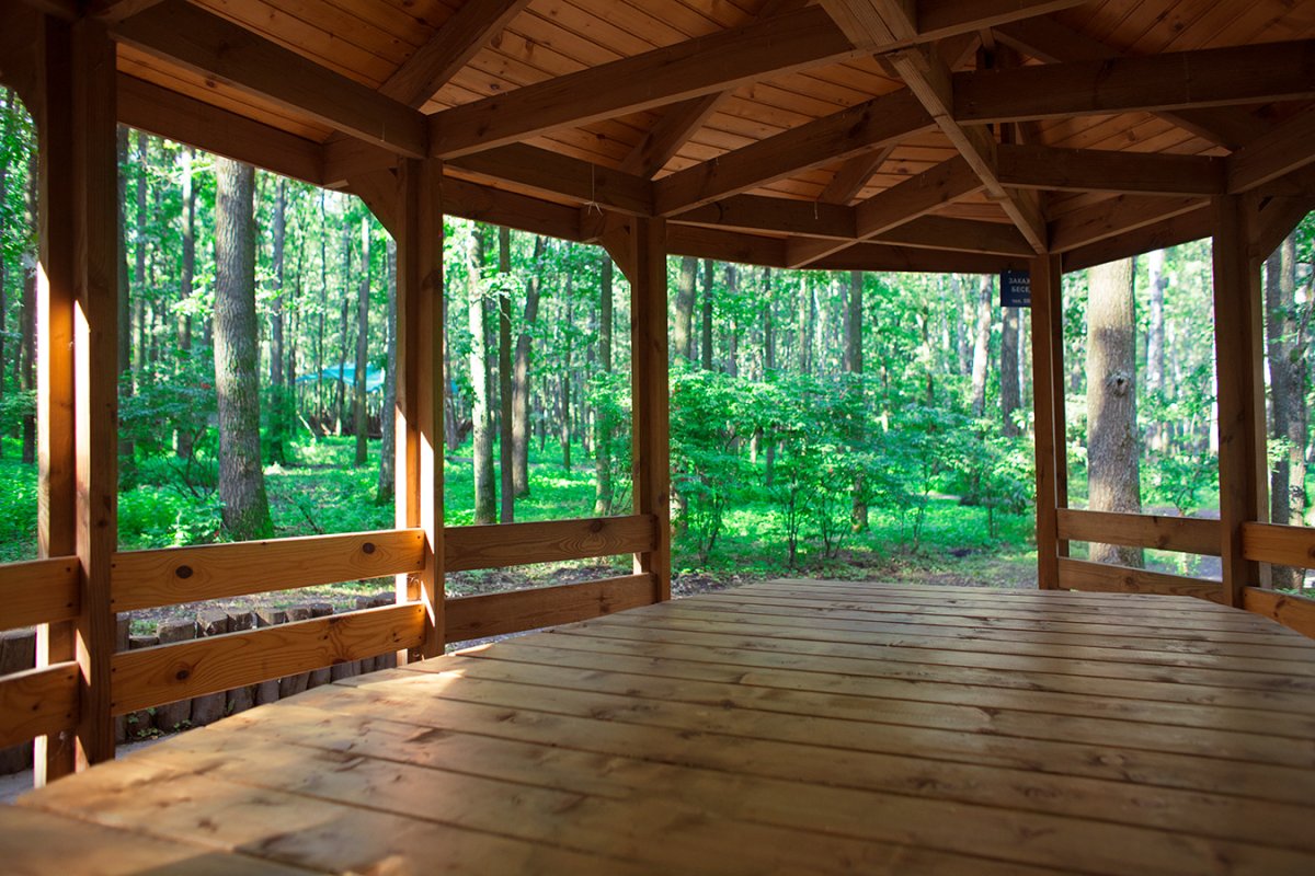 Парк отель мечта Орел беседки