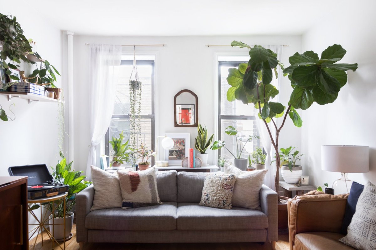 Гостиная с растениями