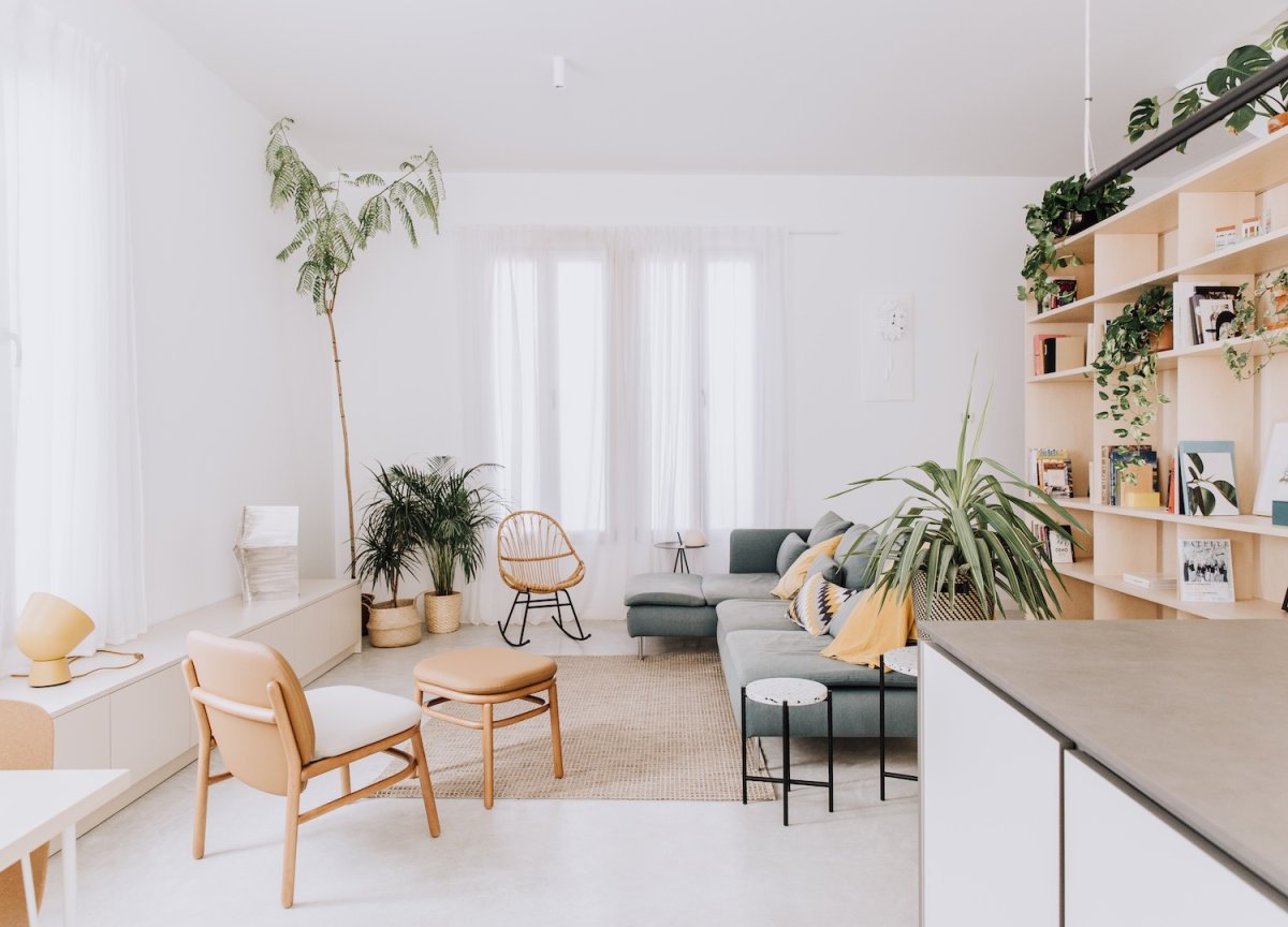 Комнатные растения в интерьере Минимализм