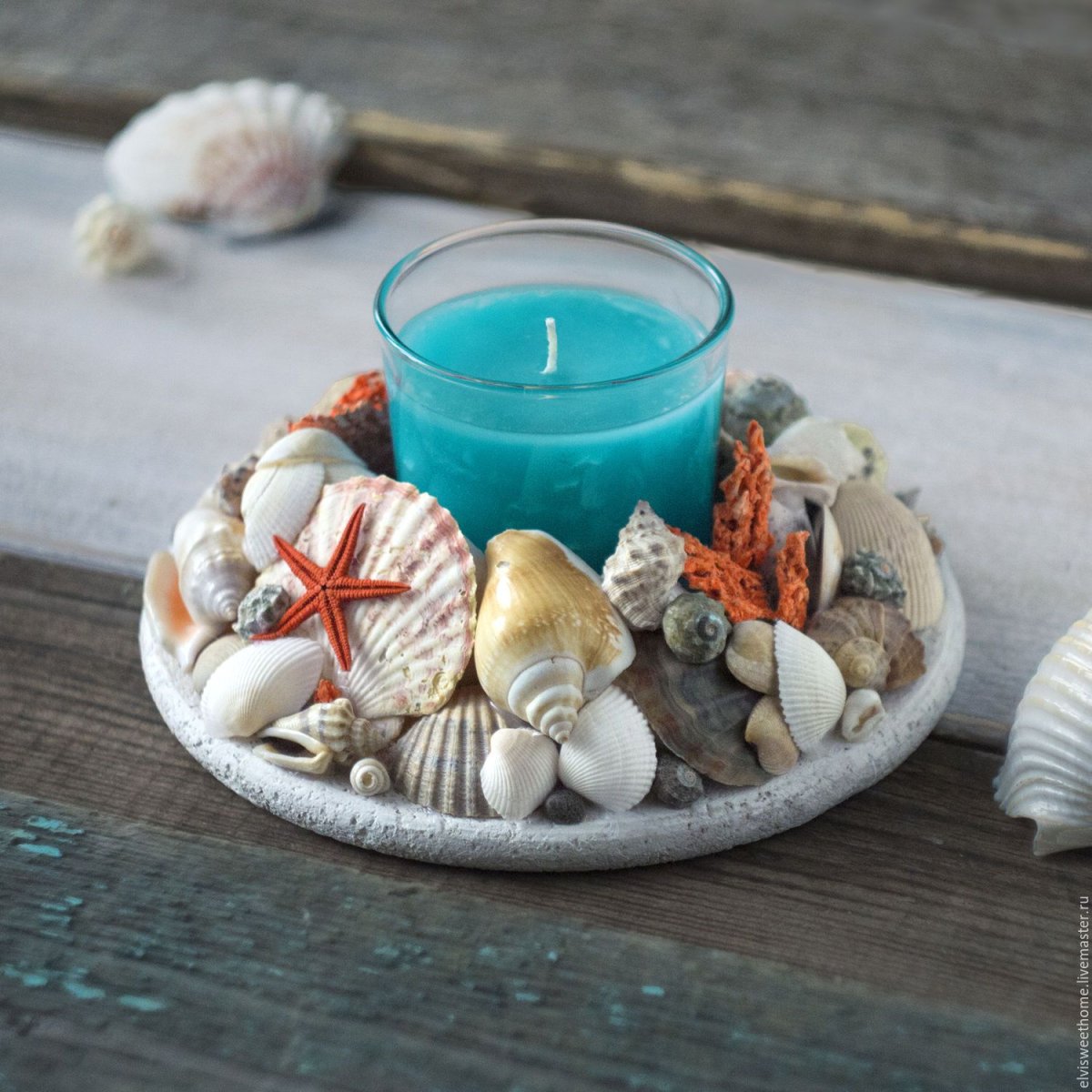 Композиции из морских ракушек