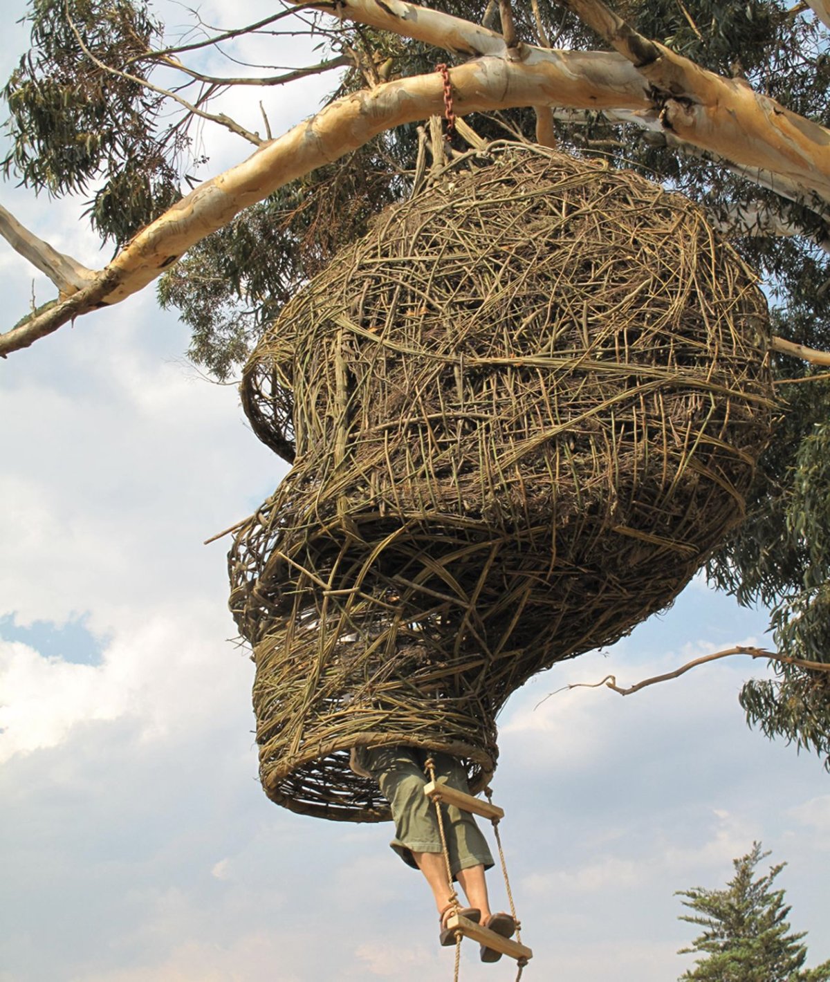Ствол дерева в интерьере