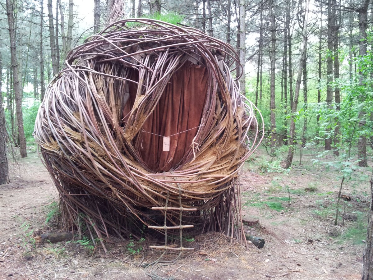 Гнездо Девятериков