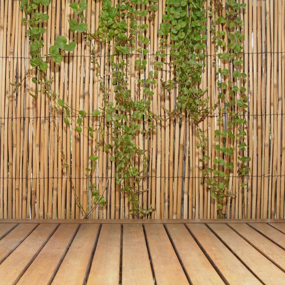 Бамбук в рулоне для отделки