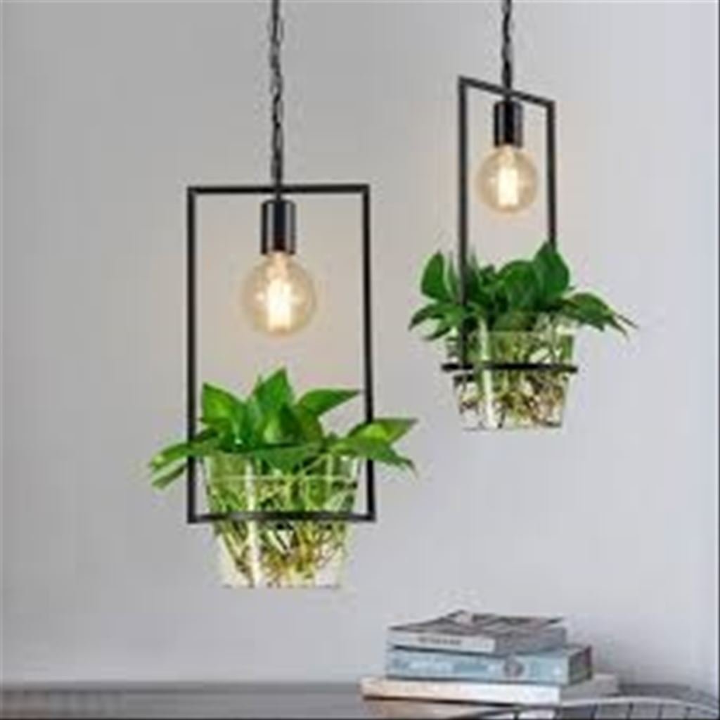 Подвесной светильник с растением