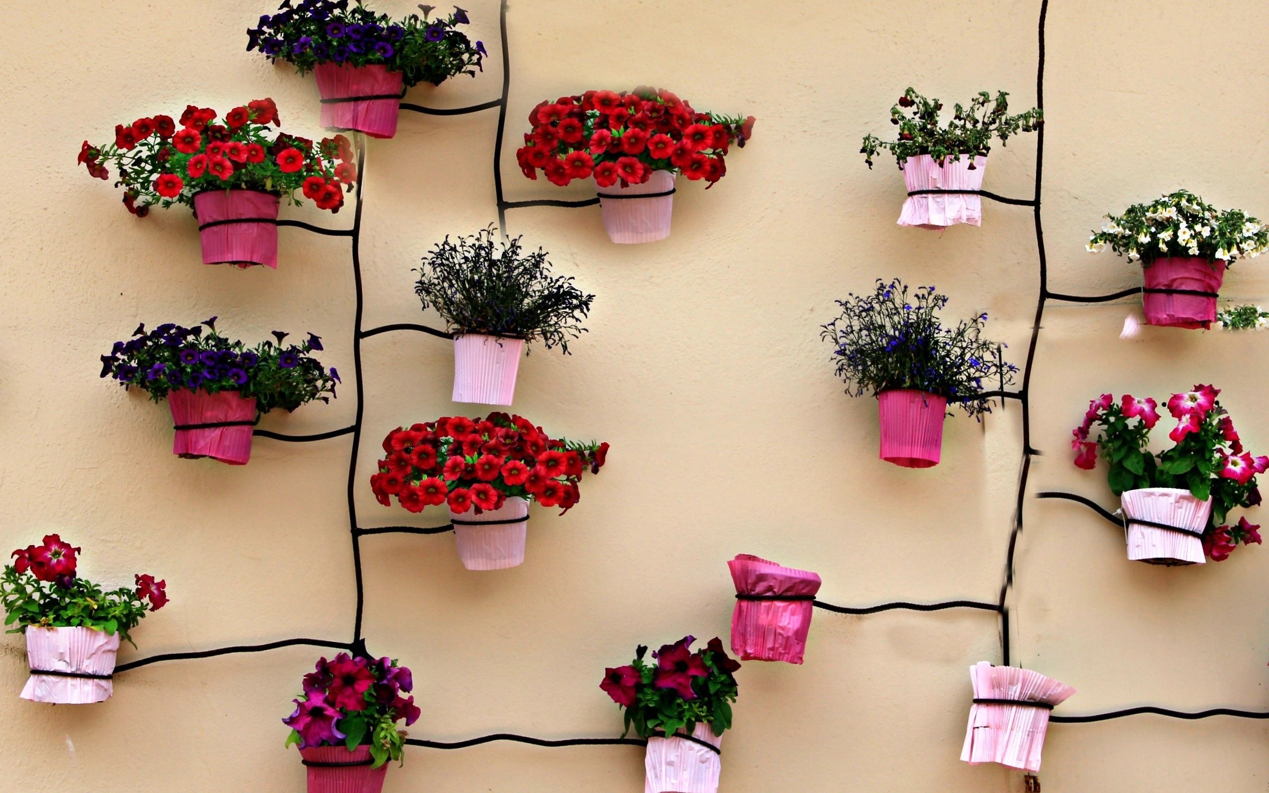 Как задекорировать цветочный. Цветы на стене в горшках. Декор стен искусственными цветами. Цветы для интерьера своими руками. Декоративные цветы на стену.