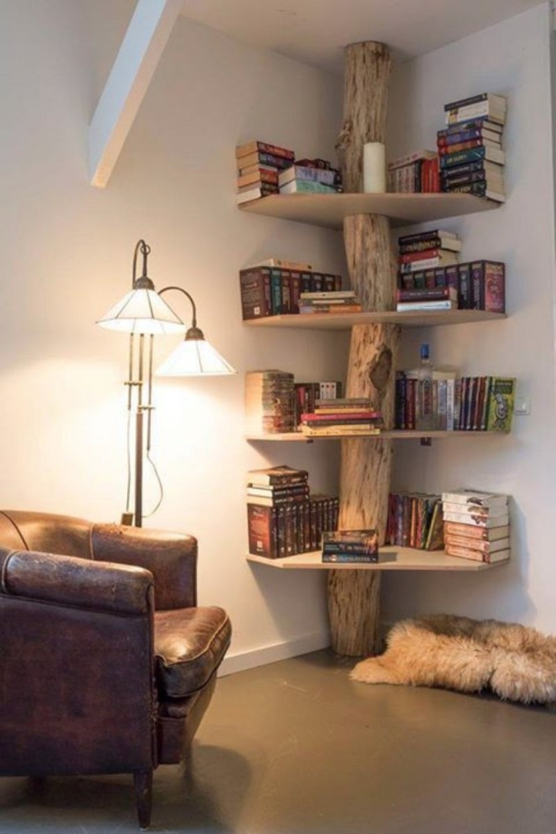 Книжные шкафы из массива дерева: купить стеллажи для книг в библиотеке